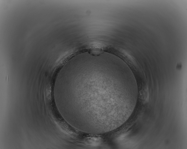 X0000089960552200707061142