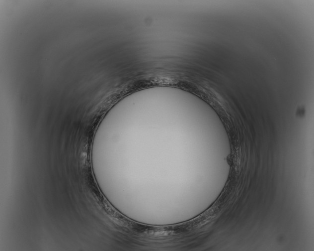 X0000089960553200707061142