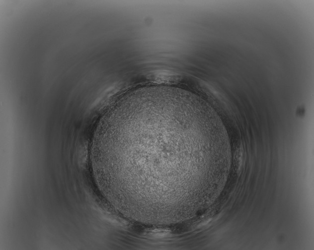 X0000089960554200707061142