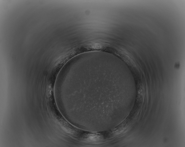 X0000089960555200707061142