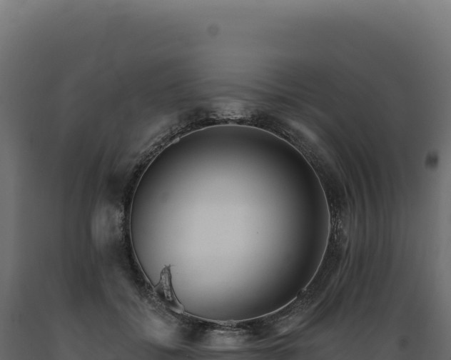 X0000089960556200707061142