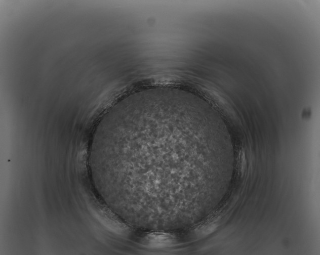 X0000089960557200707061142