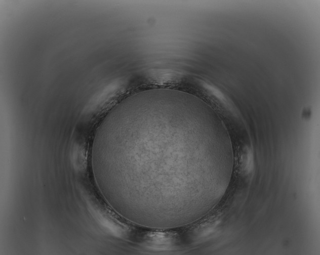 X0000089960558200707061142