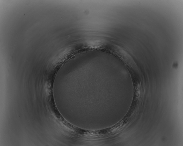 X0000089960559200707061142