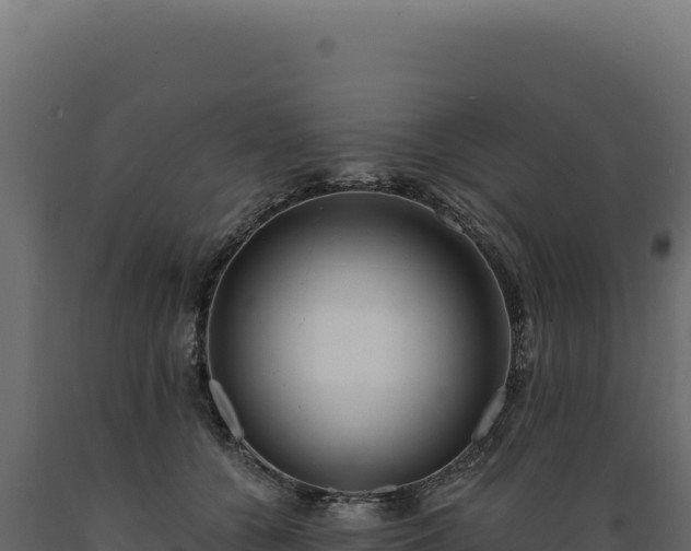 X0000089960560200707061142