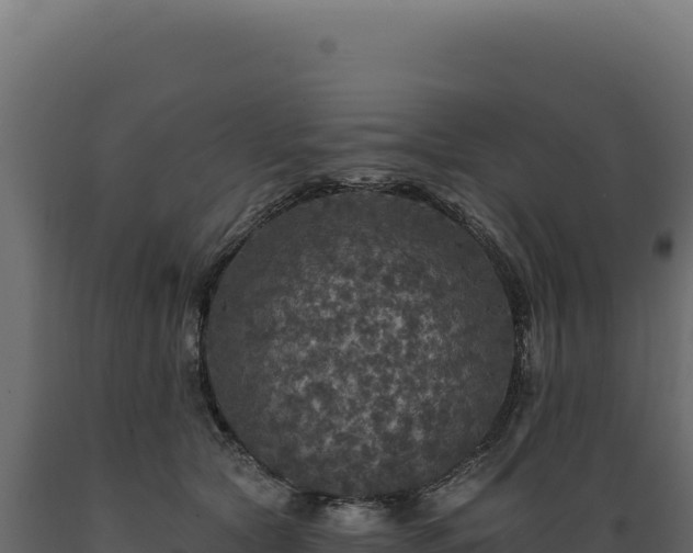 X0000089960561200707061142