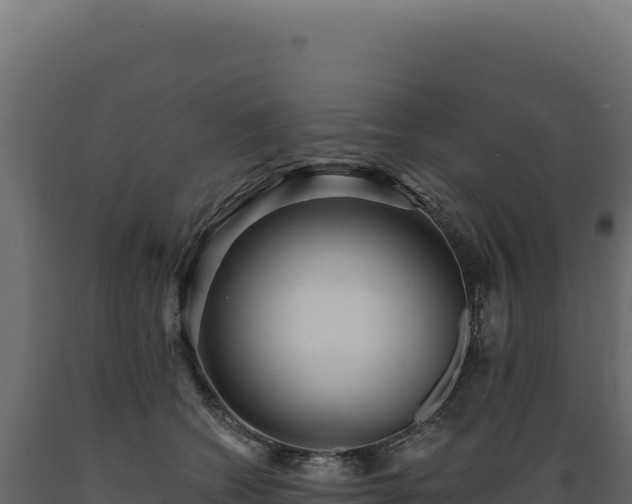 X0000089960562200707061142