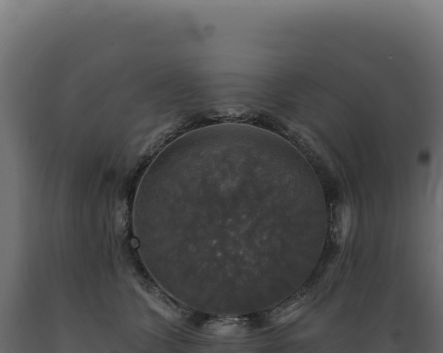 X0000089960563200707061142
