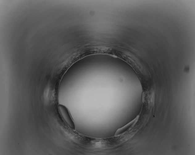 X0000089960564200707061142