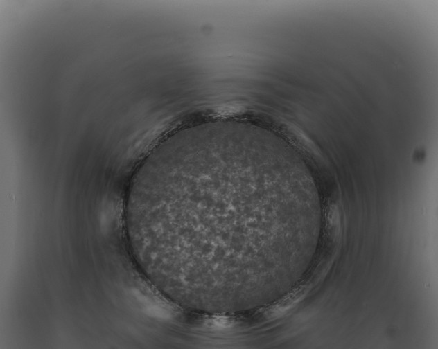 X0000089960565200707061142