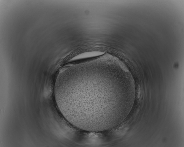 X0000089960566200707061142