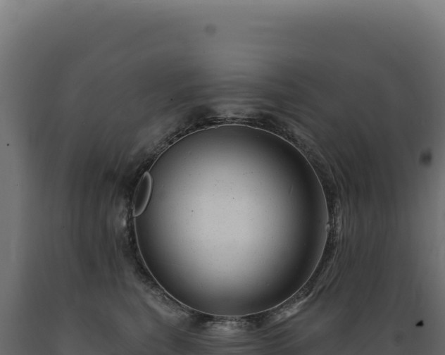 X0000089960567200707061142