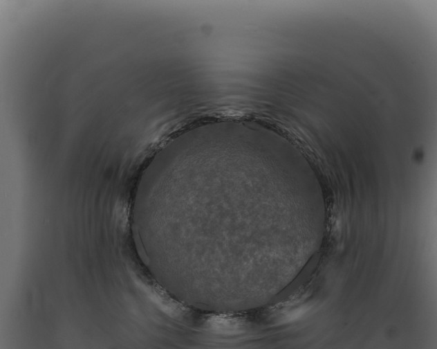 X0000089960568200707061142