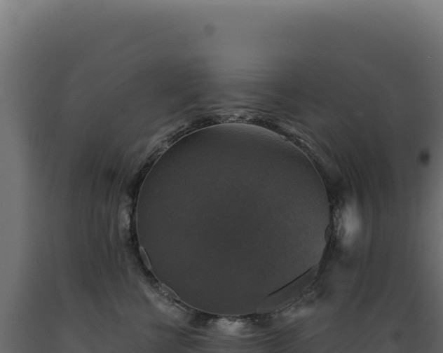 X0000089960570200707061142