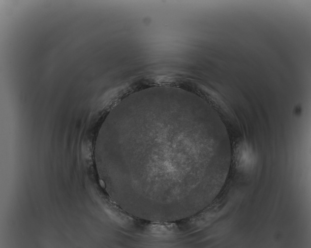 X0000089960571200707061142