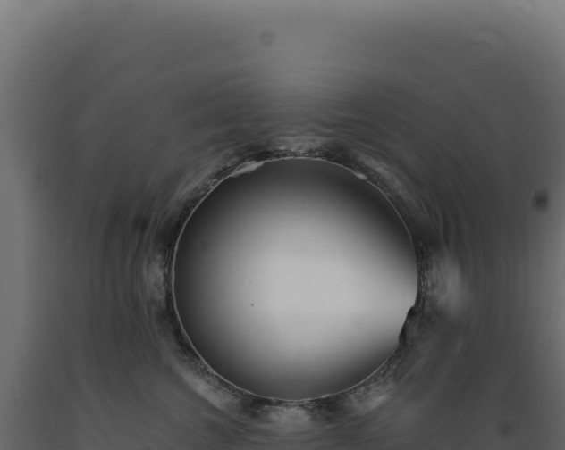 X0000089960572200707061142