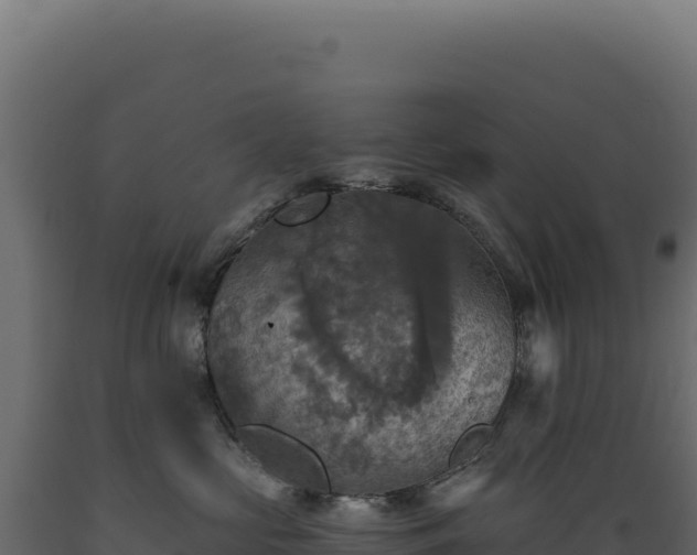 X0000089960573200707061142