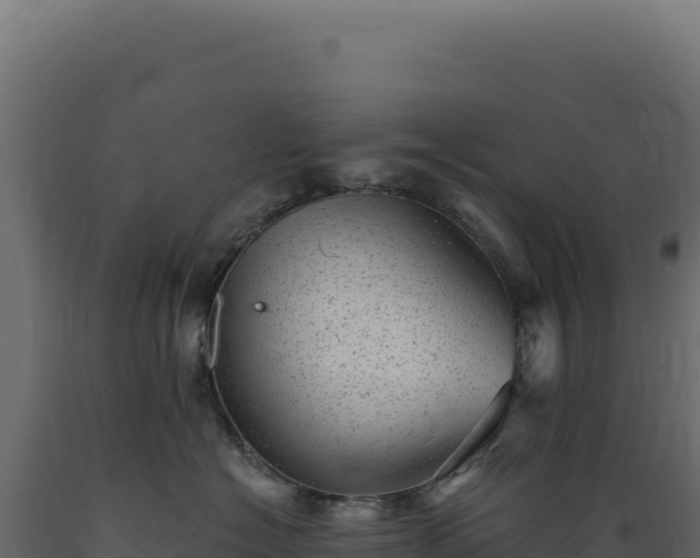 X0000089960574200707061142