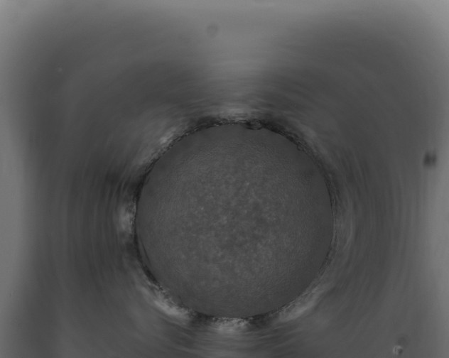 X0000089960576200707061142