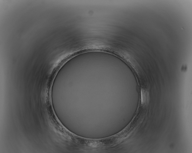 X0000089960579200707061142