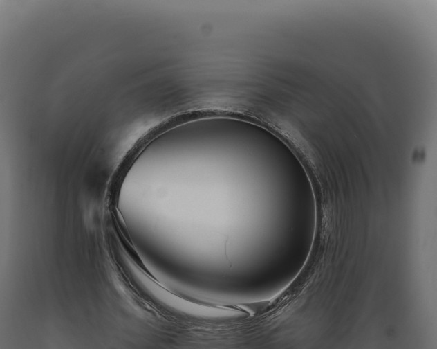 X0000089960580200707061142
