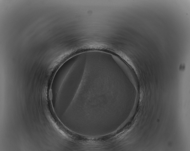 X0000089960581200707061142