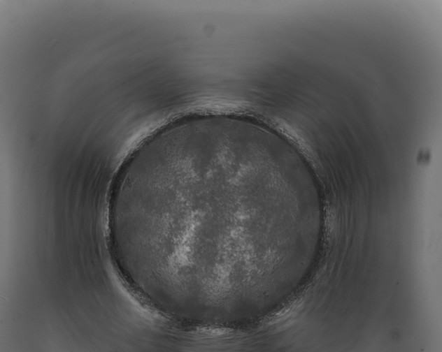 X0000089960582200707061142