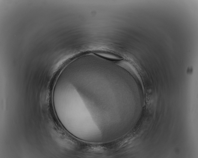 X0000089960583200707061142