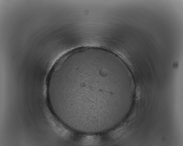 X0000089960584200707061142