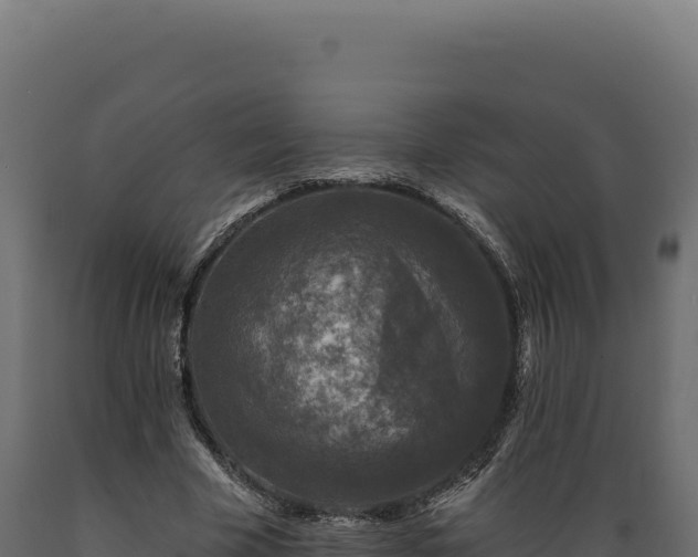 X0000089960585200707061142