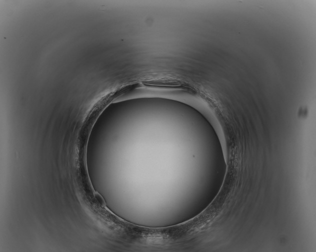 X0000089960587200707061142