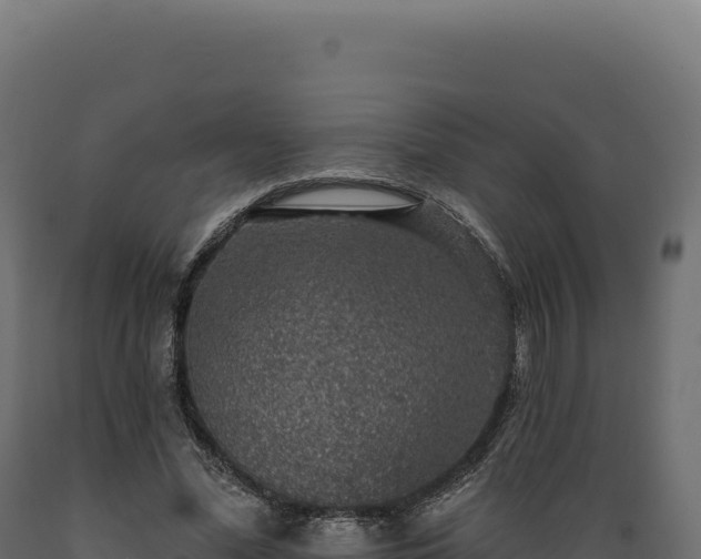X0000089960588200707061142