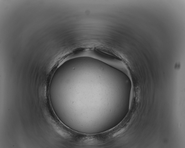 X0000089960589200707061142