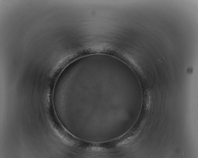 X0000089960590200707061142