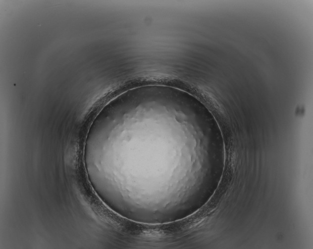 X0000089960591200707061142