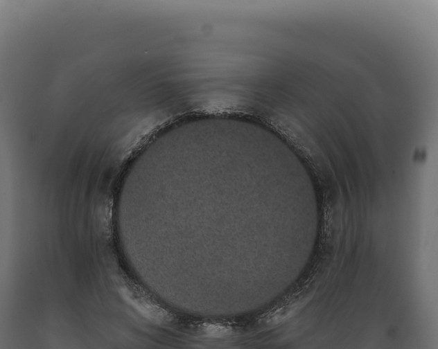 X0000089960592200707061142