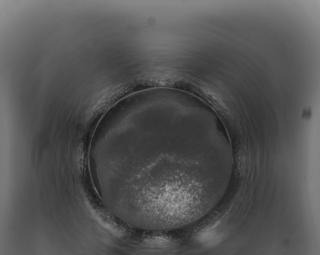 X0000089960594200707061142