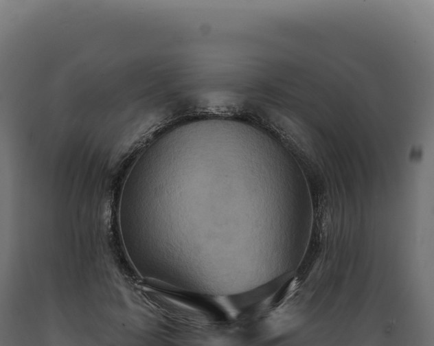 X0000089960595200707061142