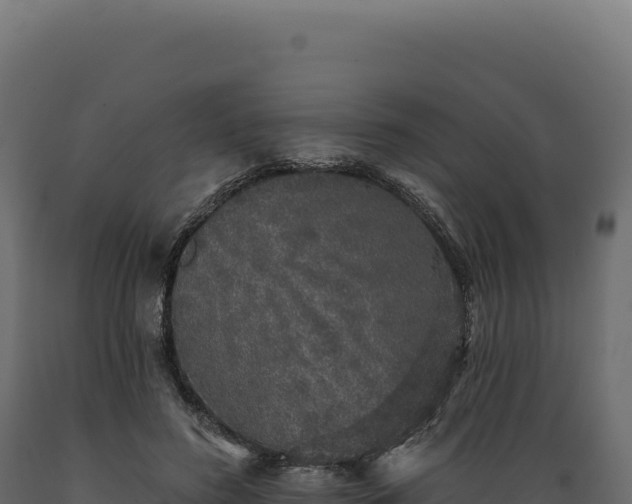X0000089960596200707061142