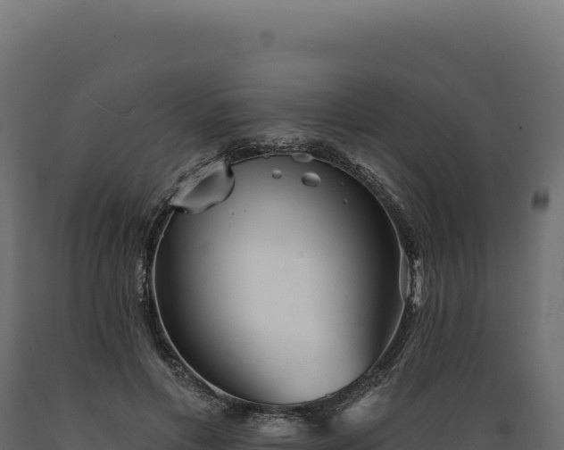 X0000089960597200707061142