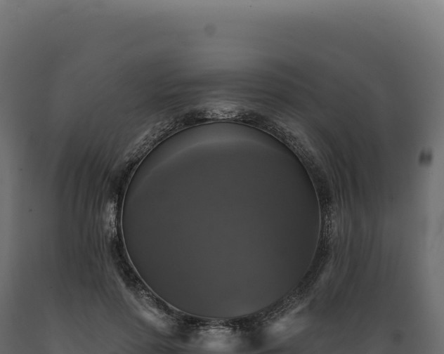 X0000089960598200707061142