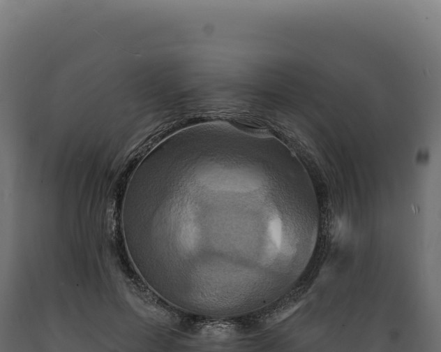 X0000089960599200707061142