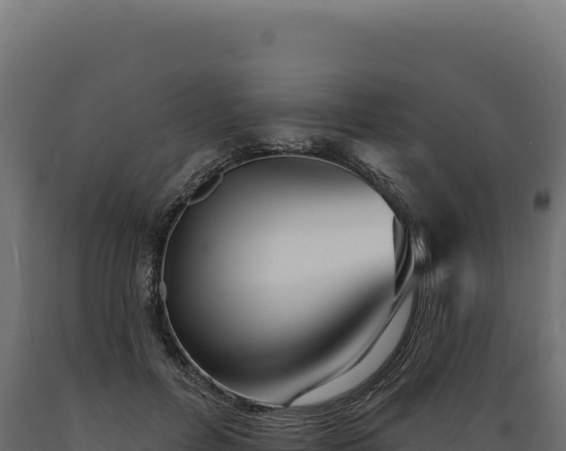 X0000089960600200707061142