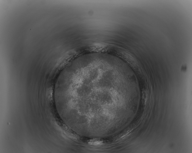 X0000089960602200707061142