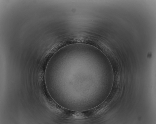 X0000089960603200707061141