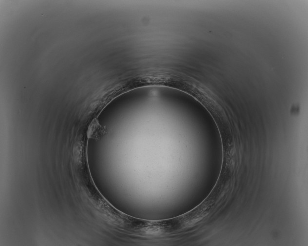 X0000089960604200707061141