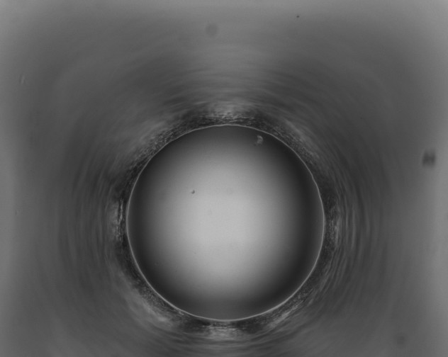 X0000089960605200707061141
