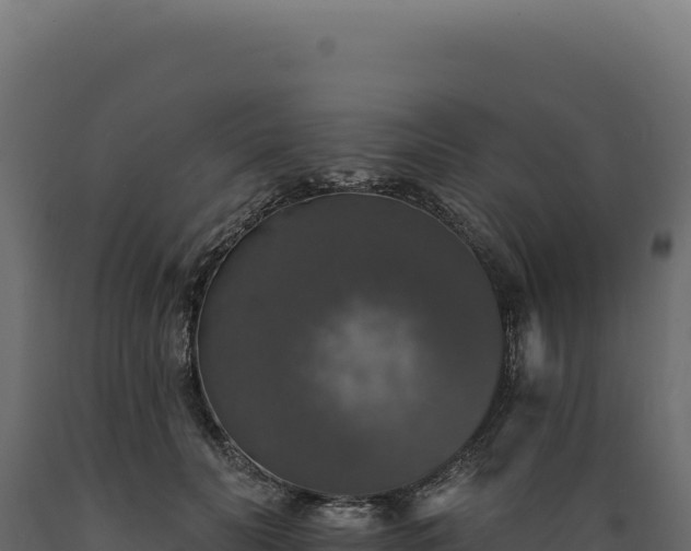 X0000089960606200707061141