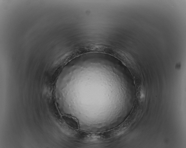 X0000089960607200707061141