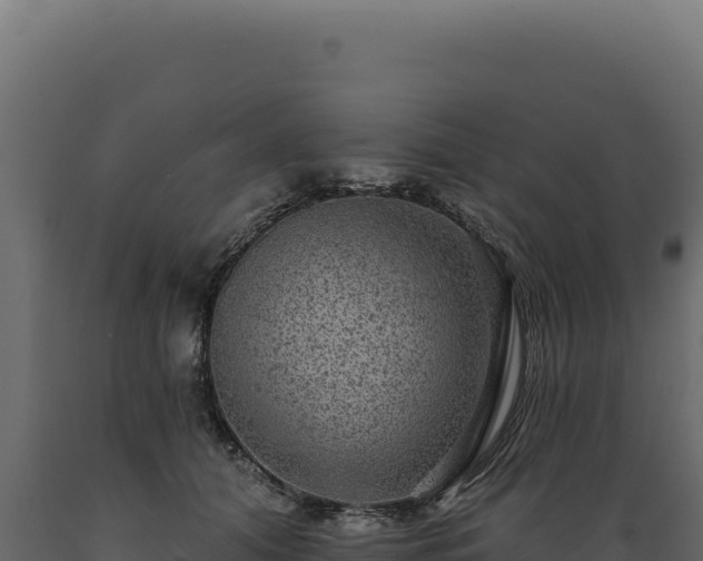 X0000089960608200707061141